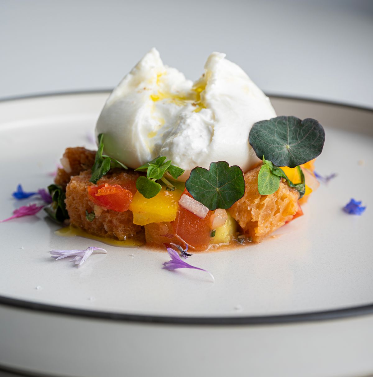 Dessert mit Beeren, Rahm und Schokolade auf weissem Porzellan